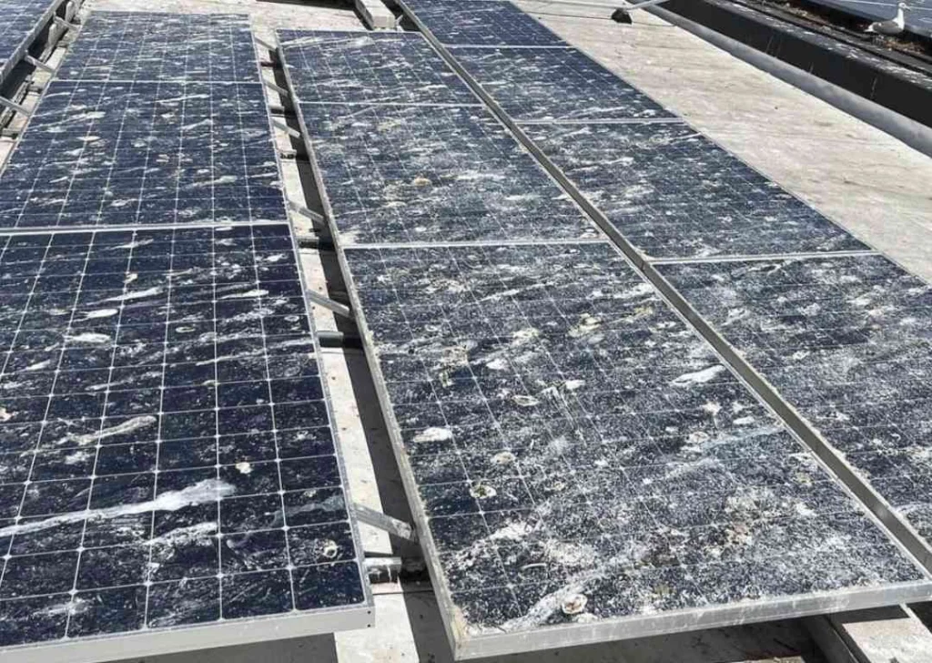 Bird droppings on a solar panel, partially blocking sunlight.