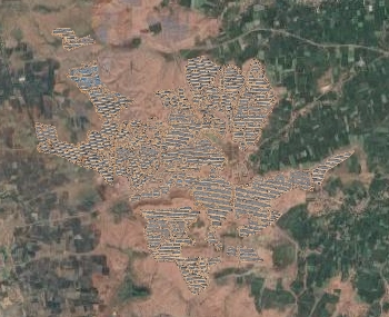 Orthomosaic (Georeferenced Image)