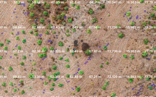 Contour map with spot level data at 5m x 5m grid spacing from drone ground mount solar survey India — showing precise elevation points for structural pile design and earthwork estimation