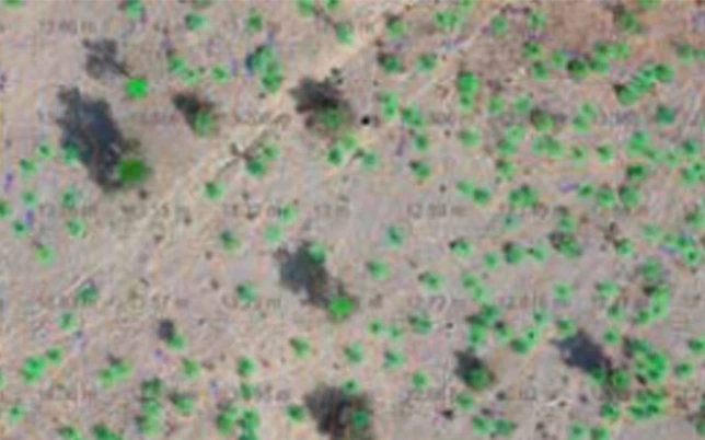 Ground Mount Solar Survey 8 NDVI vegetation index map from drone ground mount solar survey showing tree count bush count and vegetation density across proposed solar installation site in India for shadow modelling