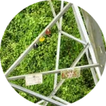 Danger sign on transmission tower inspected for condition and visibility drone India
