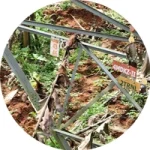 Transmission tower name board with vegetation encroachment detected during drone inspection