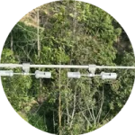 Vibration damper on transmission line conductor inspected by drone in India