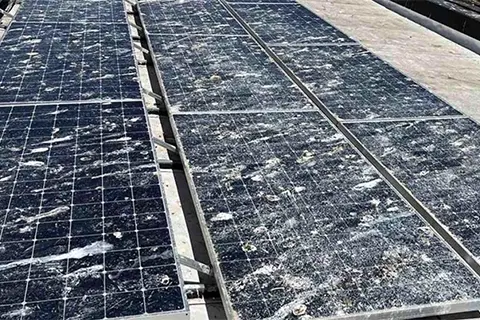 Aerial view of rooftop solar panels with heavy bird dropping contamination across multiple modules and frames