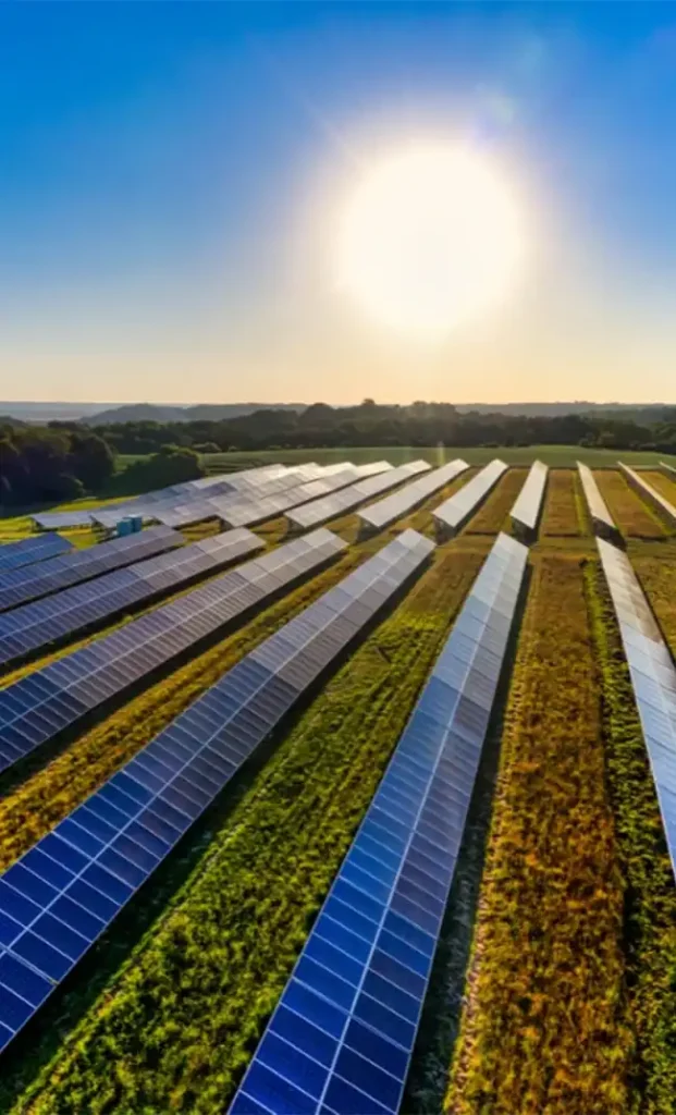 Aerial view of ground-mounted solar farm with multiple panel rows under bright sun and clear blue sky