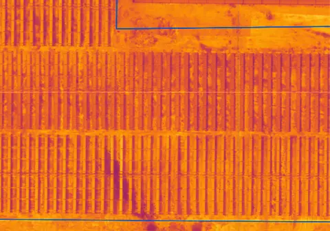 Radiometric thermal orthomosaic of solar panel rows in orange-red tones showing temperature variation across array sections