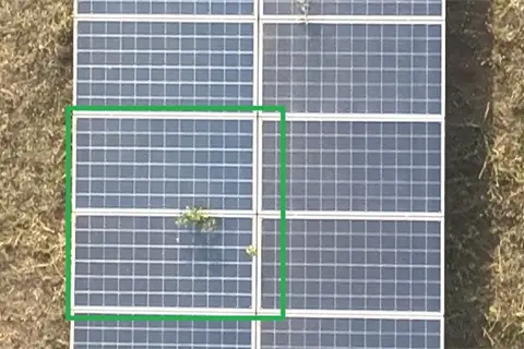 Aerial view of vegetation growing through ground-mounted solar panels, highlighted with green bounding box