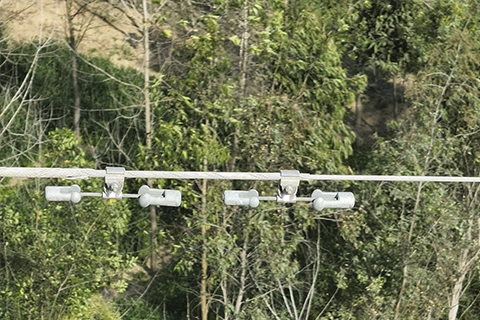 Vibration dampers clamped along a transmission line conductor above forest canopy