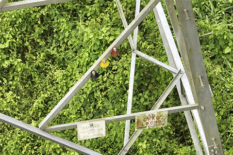 Danger warning tag and lock-checked tag on transmission tower member amid dense vegetation