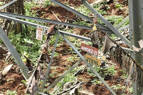 Tower identification tags hanging on transmission tower lattice member near ground level